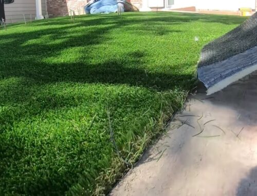 What You Need to Know Before Installing Artificial Grass