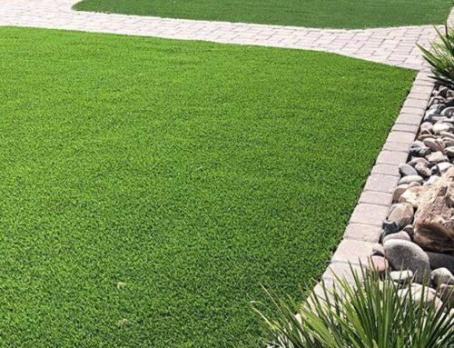 Top 10 Reasons to Switch to Artificial Grass
