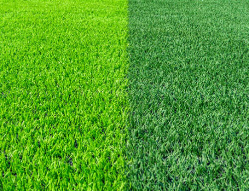 Synthetic Grass vs. Real Grass: What’s Right For You?