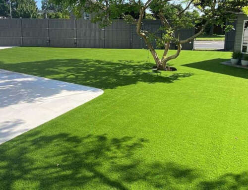 How Long Does Artificial Grass Last? Life Expectancy and Maintenance Tips